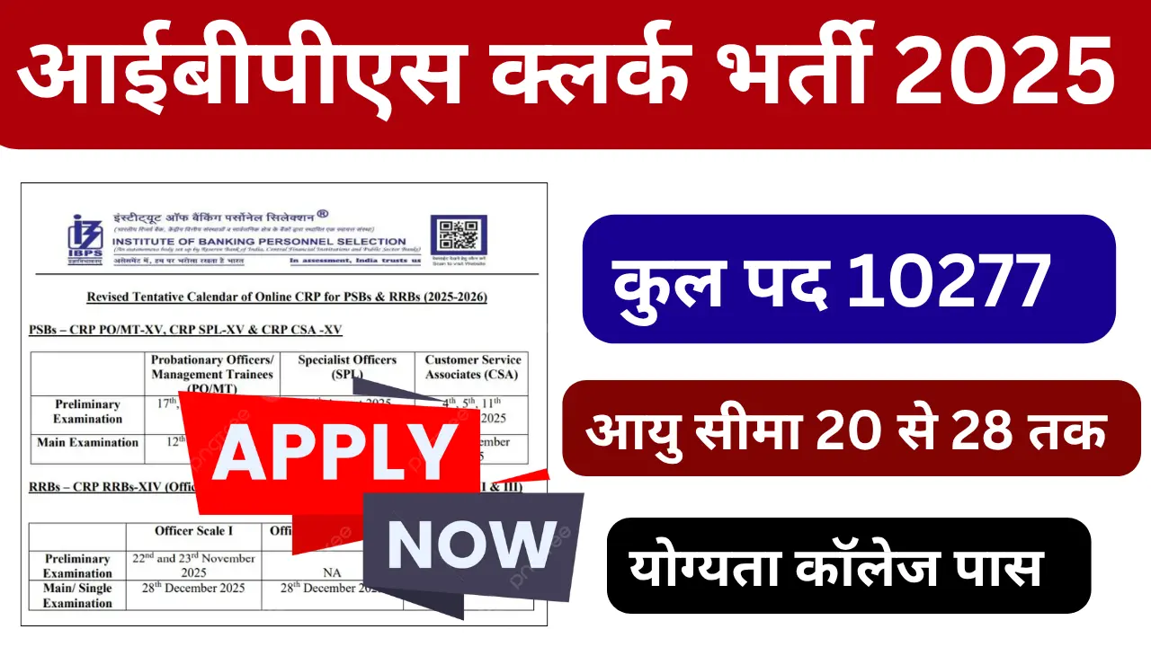 ibps clerk bharti 2025