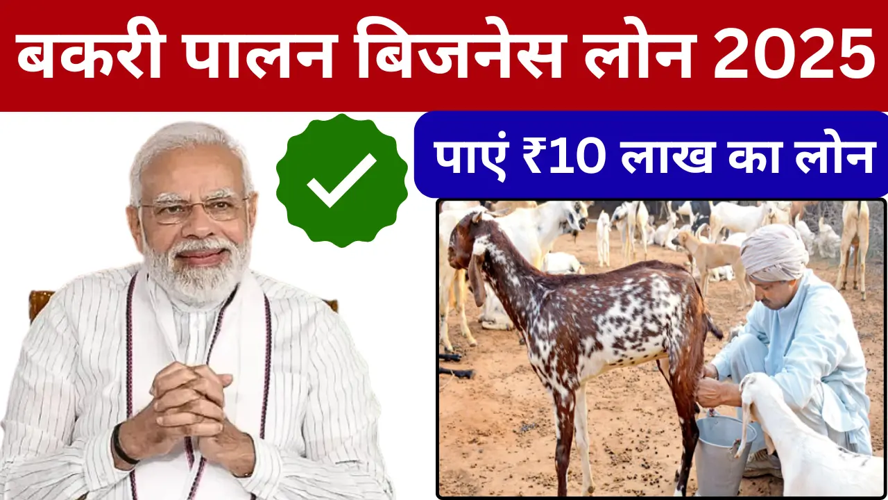 Goat Farming Business Loan 2025